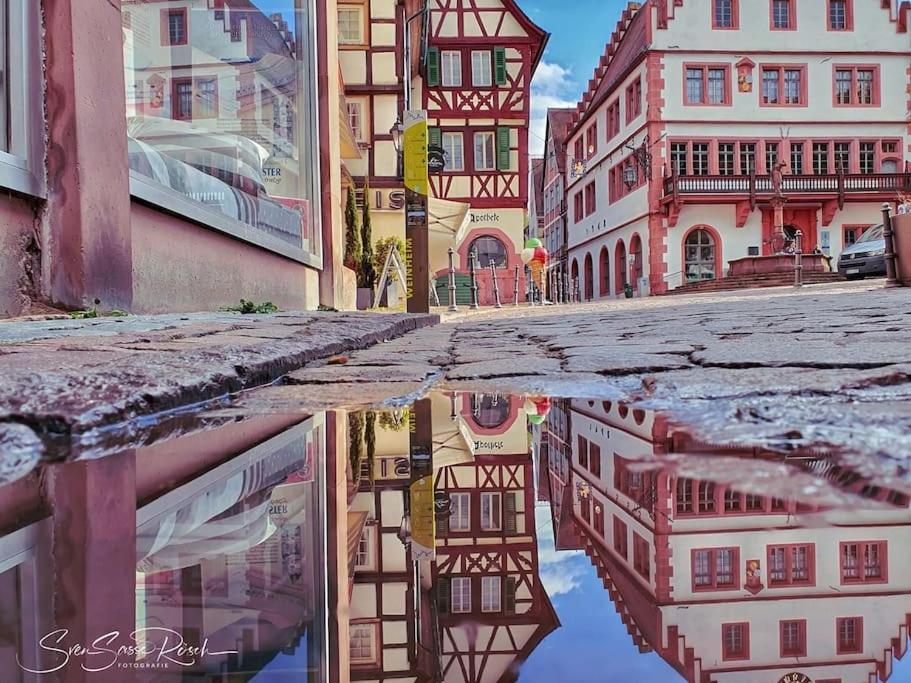 Ferienwohnung Zwischen Weinheim Und Hemsbach Εξωτερικό φωτογραφία