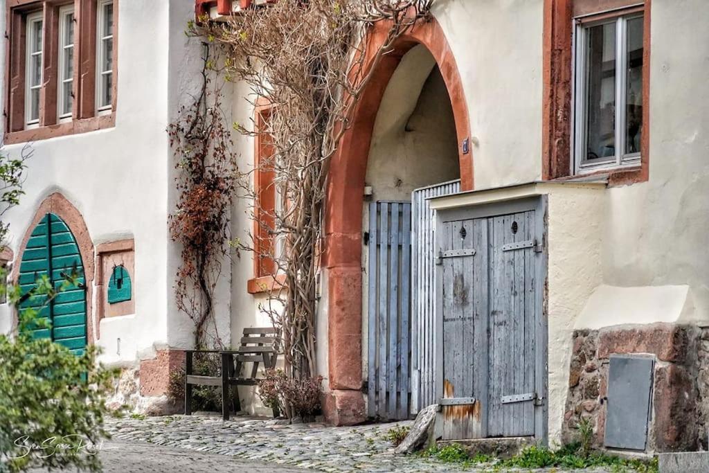 Ferienwohnung Zwischen Weinheim Und Hemsbach Εξωτερικό φωτογραφία